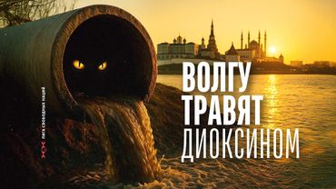 Смерть из крана. Под ударом мегаполисы на Волге