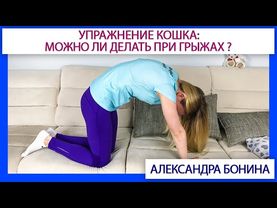 ►Можно ли ПРИ ГРЫЖАХ в позвоночнике выполнять УПРАЖНЕНИЕ КОШКА?