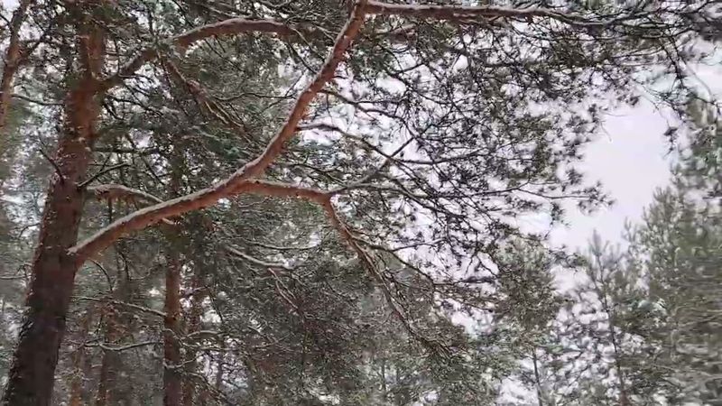 За что увольняют на самом деле в работе по найму в организации?