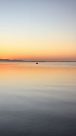 Once in a life, sunrise 🦘🦘#Noosa #camping #Australia #Kangaroo #fyp 