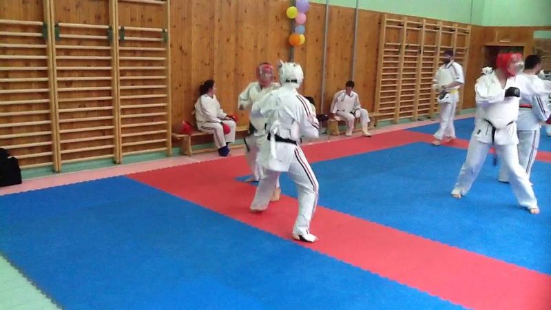 Подготовка к Чемпионату Японии 2015 по Косики каратэ - 5