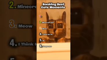 Ranking Best Cats Moments