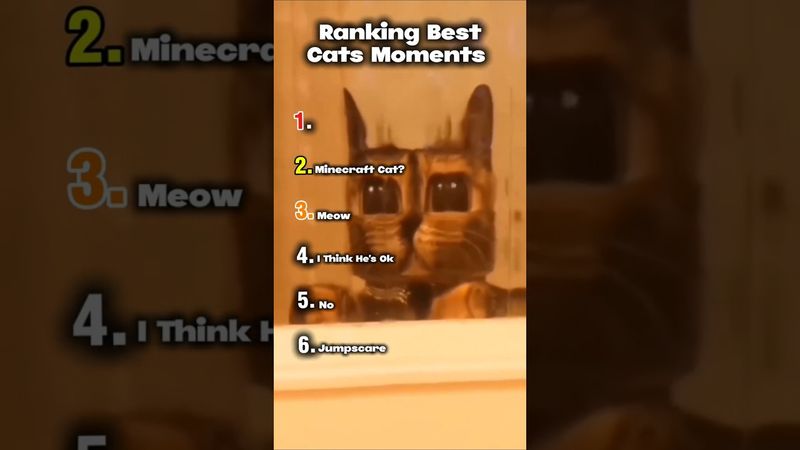 Ranking Best Cats Moments