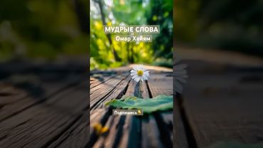Мудрые слова #омархайям #цитаты #рекомендации#цитатыосмысле #мудрыеслова#душа #любовь #счастье#жизнь