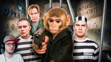 БЛОГЕРСКОЕ РАБСТВО ► ЗАГОВОР РЕКЛАМНЫХ АГЕНТСТВ (feat. Майзенберг, ИнсайдерКэм) | Реакция