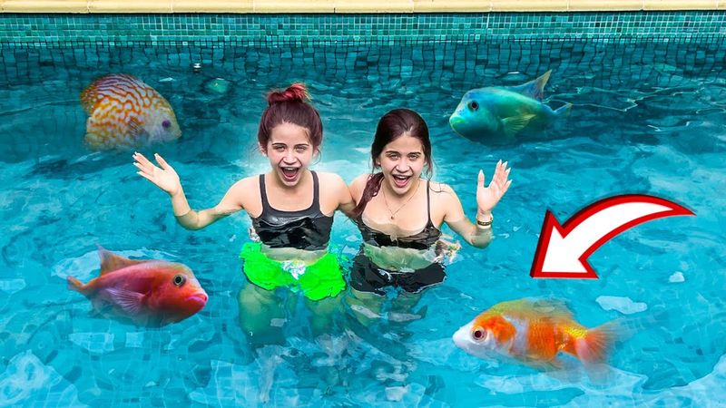 COLOCAMOS 5 PEIXES EM NOSSA PISCINA!!