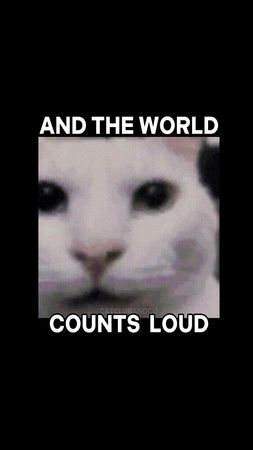 HERE COMES THE SONNE 🙀🙀🥶#catlover #cat #catcore #cattok #catslovers 