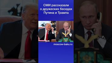 СМИ рассказали о дружеских беседах Путина и Трампа