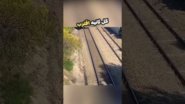 حاول هذا الشخص مساعدة الكلب بكل قوته !