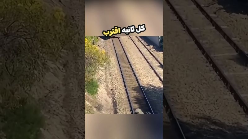 حاول هذا الشخص مساعدة الكلب بكل قوته !