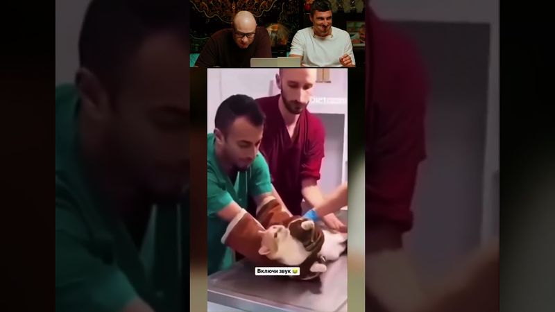 ЗАСМЕЯЛСЯ-ПОДПИСАЛСЯ Ч.160 #шортс