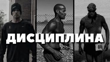 Это видео – Учебник по дисциплине! Стань тем, кем хочешь!