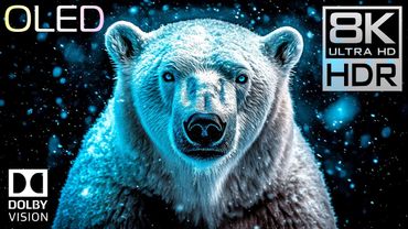 Pure Color Brilliance – OLED 8K HDR 120fps Dolby Vision Experience