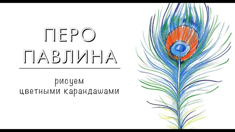 ПЕРО ПАВЛИНА / рисуем цветными карандашами