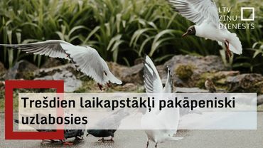 20. augusta laika ziņas