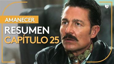 Amanecer | Capítulo 25 - Resumen