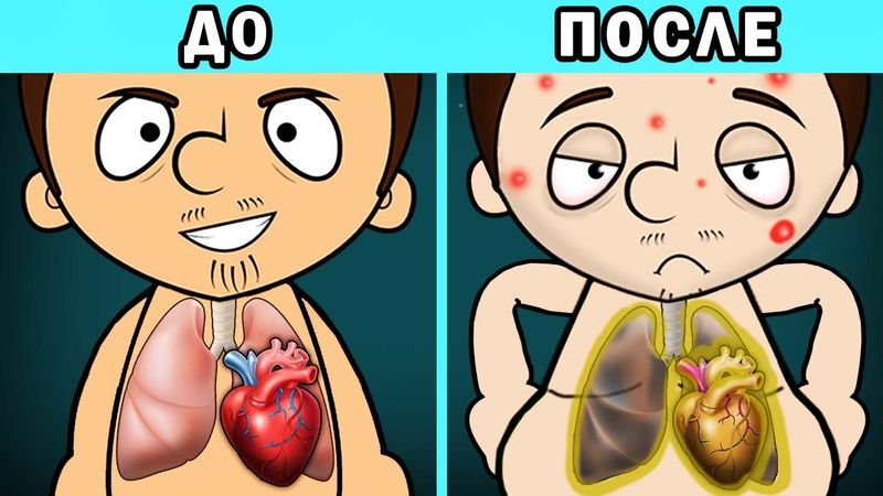 Что если есть только ЧИПСЫ?