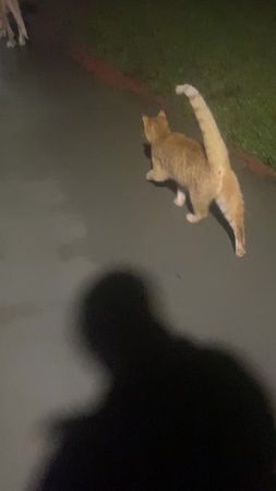 TikTok video #7600877774227737864