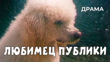 Любимец публики (1985 год) драма