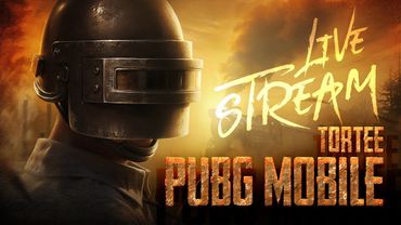 🔴ГО ПОБЕЖДАТЬ🔴TORTEE PUBG MOBILE