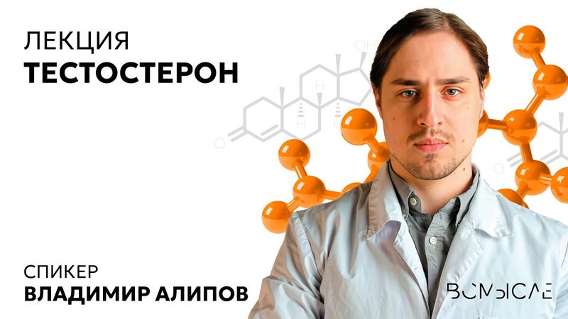 Тестостерон. Владимир Алипов