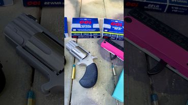 SnakesART : .22 vs. .22wmr vs. 9mm