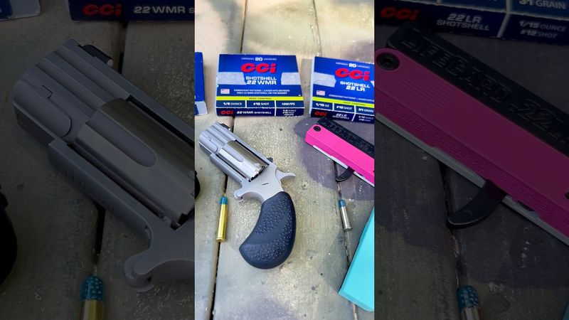 SnakesART : .22 vs. .22wmr vs. 9mm