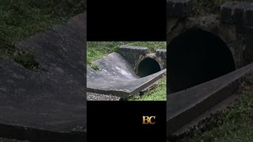 13-year-old drowns after washing into drainage pipe during strong storm in Maryland