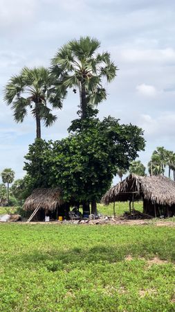 နေသာသာ အညာ #village #bagan #myanmartiktok🇲🇲🇲🇲 #CapCut #makbookpro 