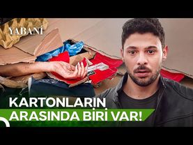Yaman'ın Gördüğü En Acı Manzara! | Yabani 37. Bölüm
