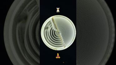 “Stillness Speaks” #asmr #odlysatisfying #relaxing #sand #yoga #shorts