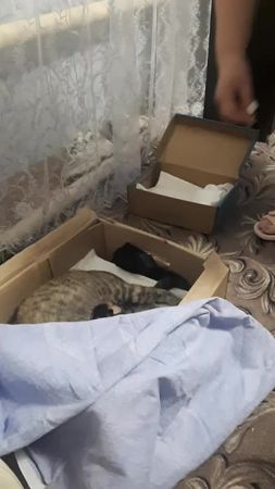 TikTok video #7031201953661095170