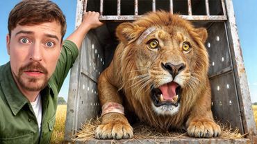 Eu salvei 1.000 animais da morte