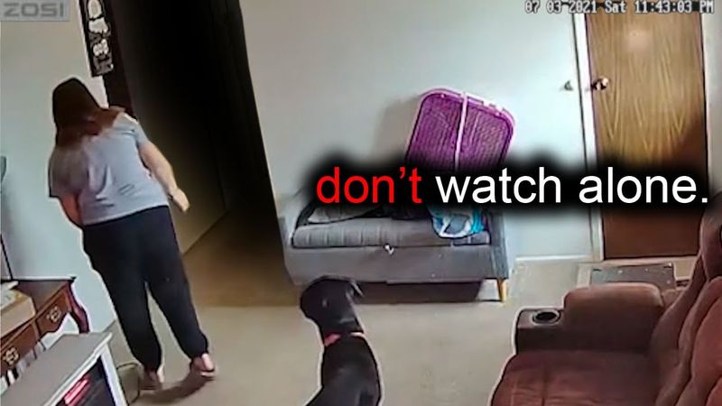 Comp. Assustador V110