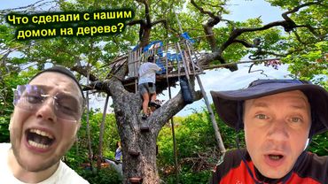 ✅Что сделали с ДОМОМ на ДЕРЕВЕ на НЕОБИТАЕМОМ ОСТРОВЕ !!! Электро ДОСПЕХИ и ОБЕЗЬЯНЫ ! Антоха в шоке