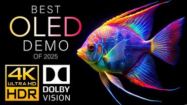 4K HDR That Redefines Visual Brilliance - Dolby Vision OLED [120FPS]