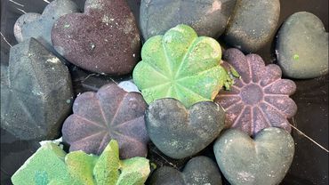 Reformed Gymchalk | Satisfying