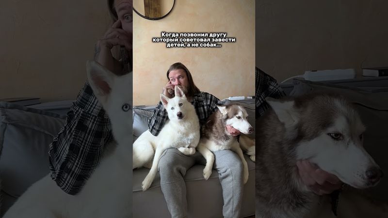 Подпишись. Рад тебе буду!🫂