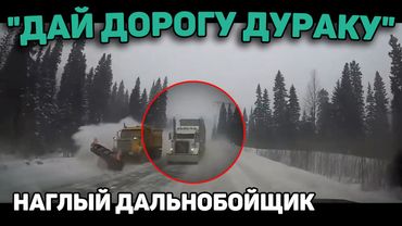 Автоподборка "Дай Дорогу Дураку"🚚Наглый Дальнобойщик#446