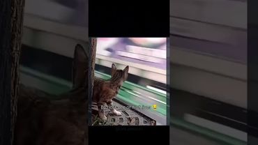 no problem bro still 8 more left