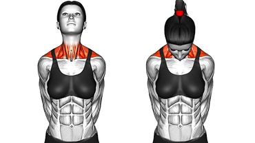 適合初學者的 10 分鐘晨練計劃