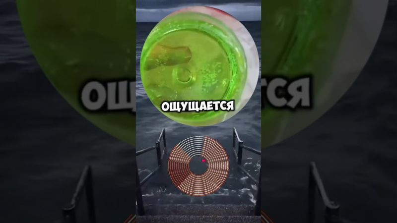 #shorts #кружок #мем #смешно