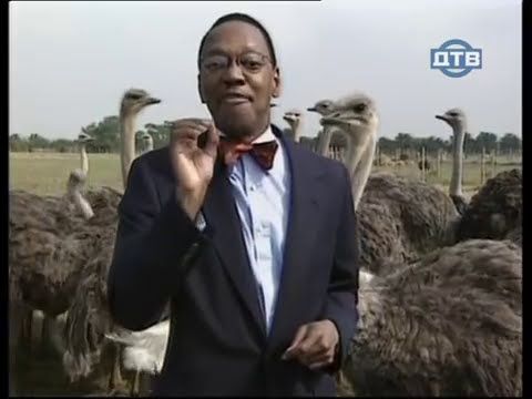 DTV-0(17-11-07 23-05-21) Shutar Murghay Shattan ho gay.mpg