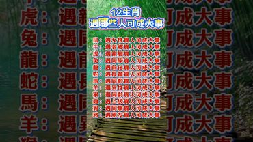 12生肖 遇哪些人可成大事！#生肖  #運勢  #玄學 #風水