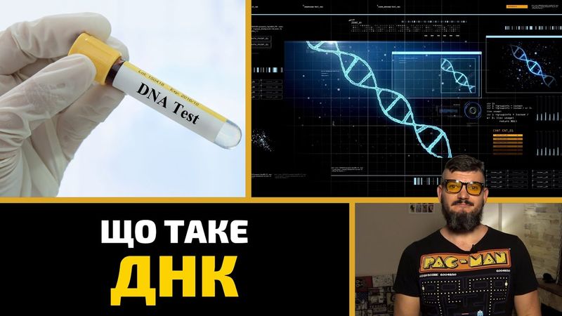 Що таке ДНК, гени та спадкові хвороби