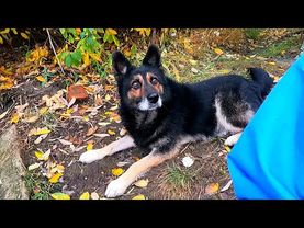 #Славянск. 28 октября 2025г. Вечер.