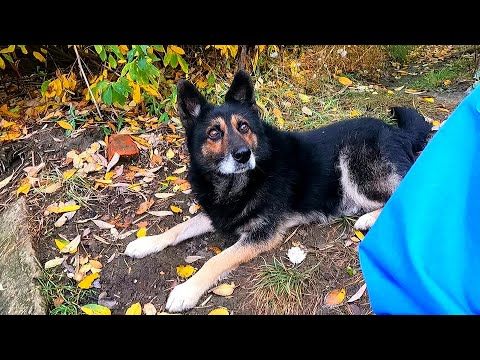 #Славянск. 28 октября 2025г. Вечер.