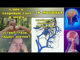 Жизнь мозга и глаз зависит от верхней глазной вены, но она блокируется из-за спазма мышц. Упражнения