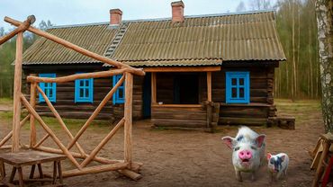 На черничный пришла тишина. Свинка лёгкого поведения. Пять колодцев. Прекрасный винтаж