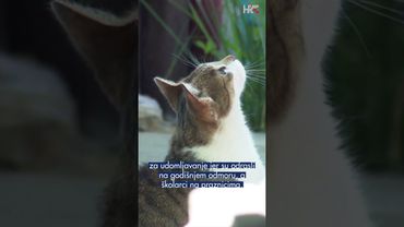 Dan otvorenih vrata Skloništa za nezbrinute životinje Grada Zagreba